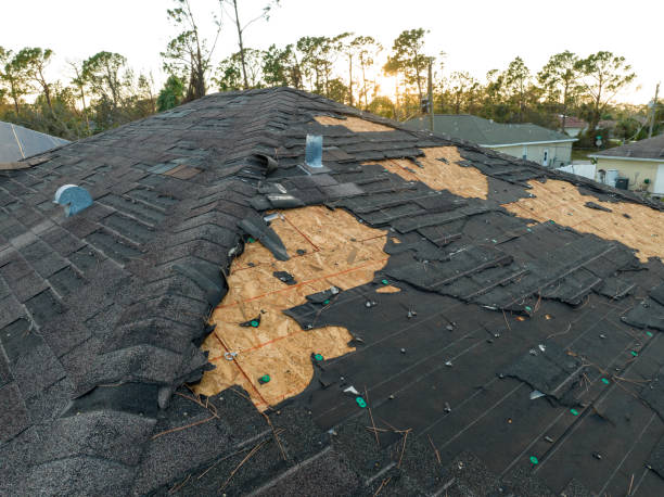 Best Emergency Roof Repair Services  in Ivyland, PA